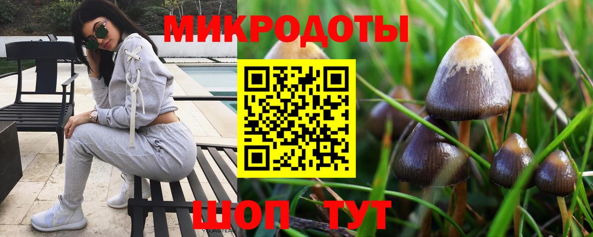 Галлюциногенные грибы Cubensis  Вход с VPN  где можно купить наркотик  Сокол 